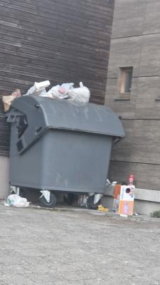 Dépôt clandestin — Rue de Neerpede 714
